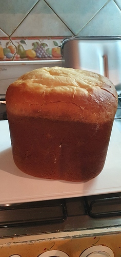 Como hacer pan de Brioche en el horno de pan Atma