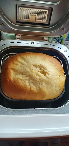 Como hacer pan de Brioche en el horno de pan Atma